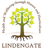 Home 31 lindengate logo